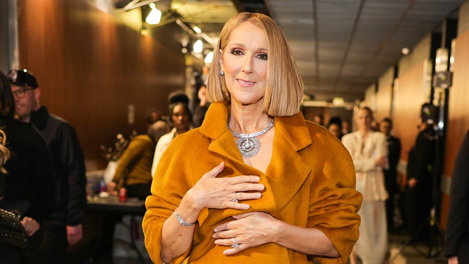 Celine Dion Makes Rare Appearance at 2024 Grammys Amid Illness