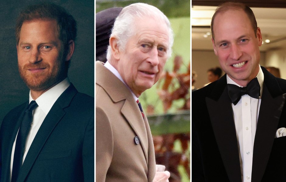 Prince Harry, Prince William 'Mending’ Amid King Charles' Cancer