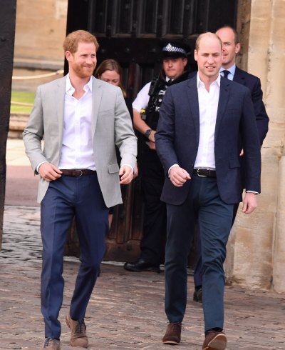 Prince Harry and Prince William meet the public in Windsor