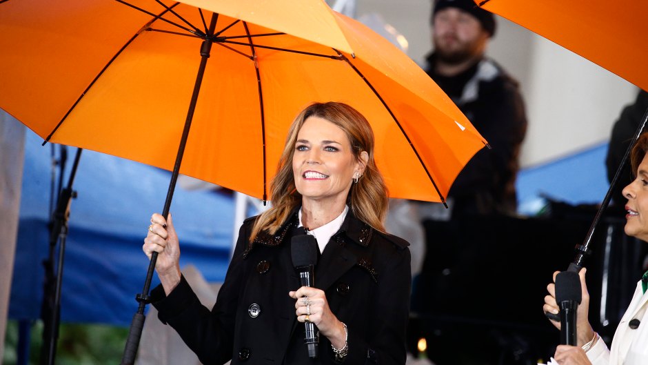 Timeline of Savannah Guthrie’s Today Drama and Book Scam