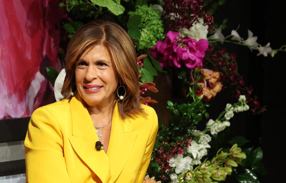 Hoda Kotb Reveals Painful Injury and Remedy on Today